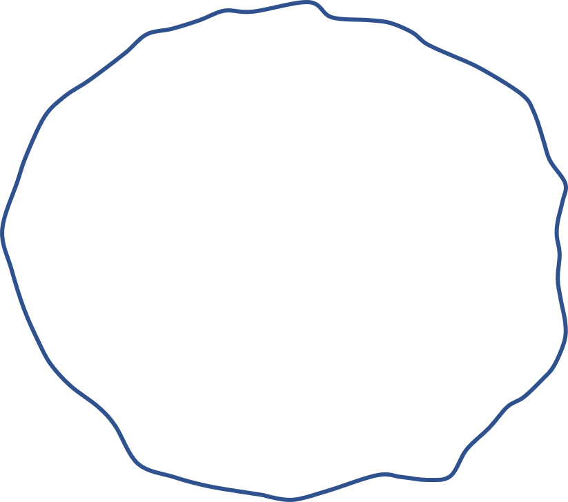 Conceptual representation of the irregular, spheroid shape of the Earth