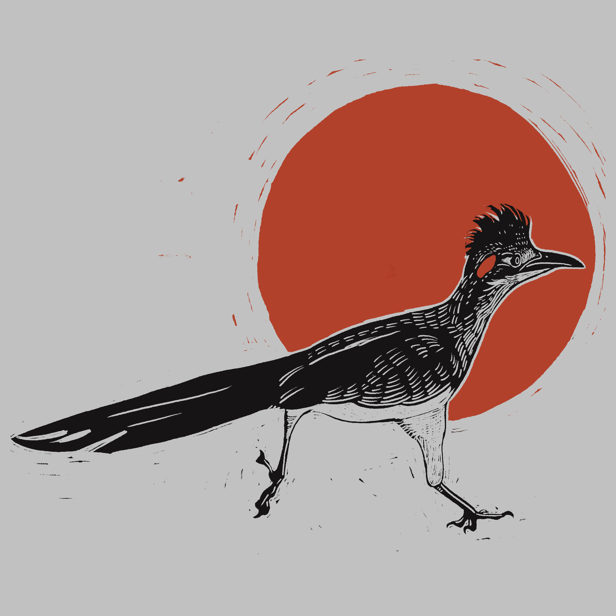 placeholder image 1